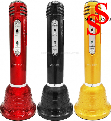 Микрофон WSTER WS-1809